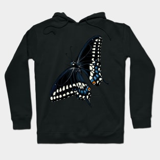 Black Swallowtail Butterfly Hoodie